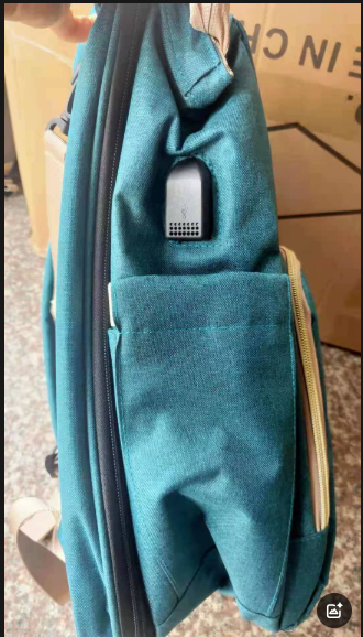 LittleVoy Carry Bag
